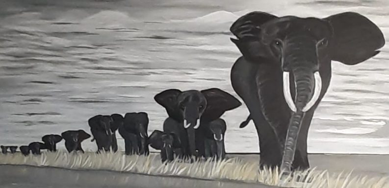 Elefanten Herde
