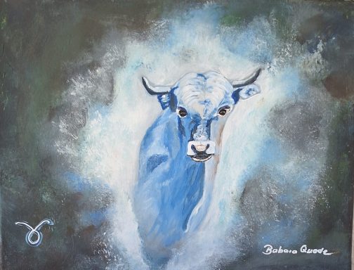 Stier