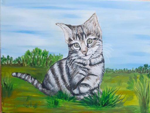 Little cat