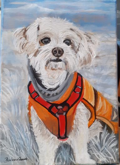 Terrier